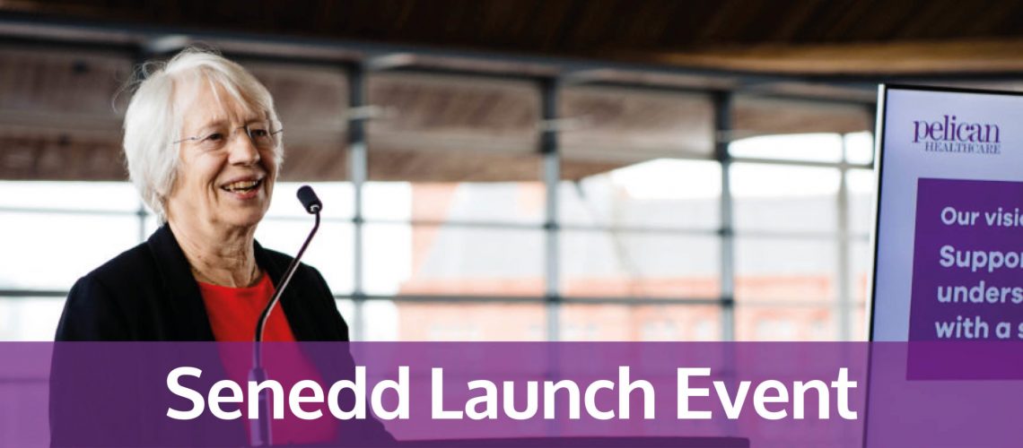 senedd-launch-event-scaled